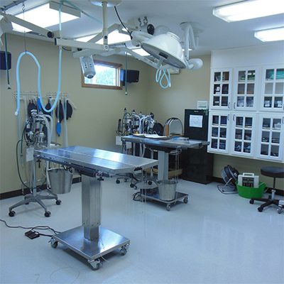 a picture of our Dog and Cat Surgery room in Temperance, MI