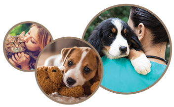 Owners with their pets: Veterinary Support Staff in Temperance