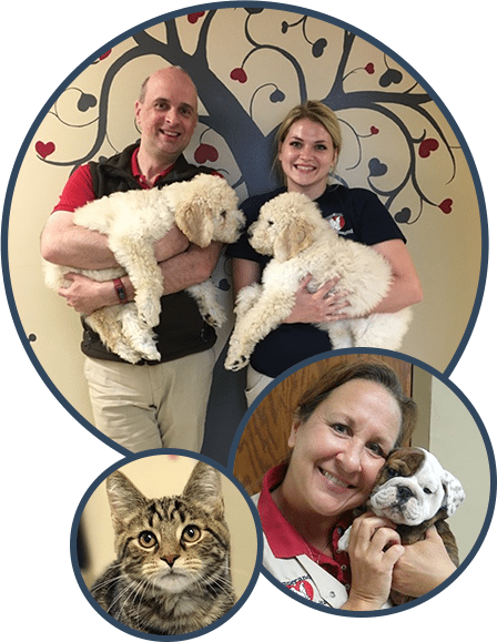 Animal Hospital