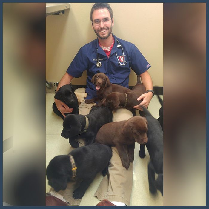 Dr. Pollins with puppies: Our Photo Gallery in Temperance