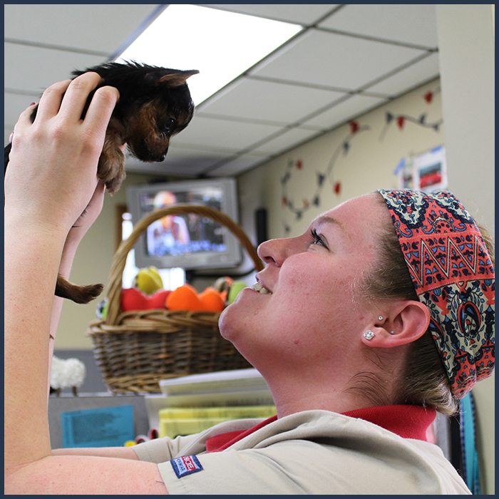 staff member holding tiny puppy: Our Photo Gallery in Temperance