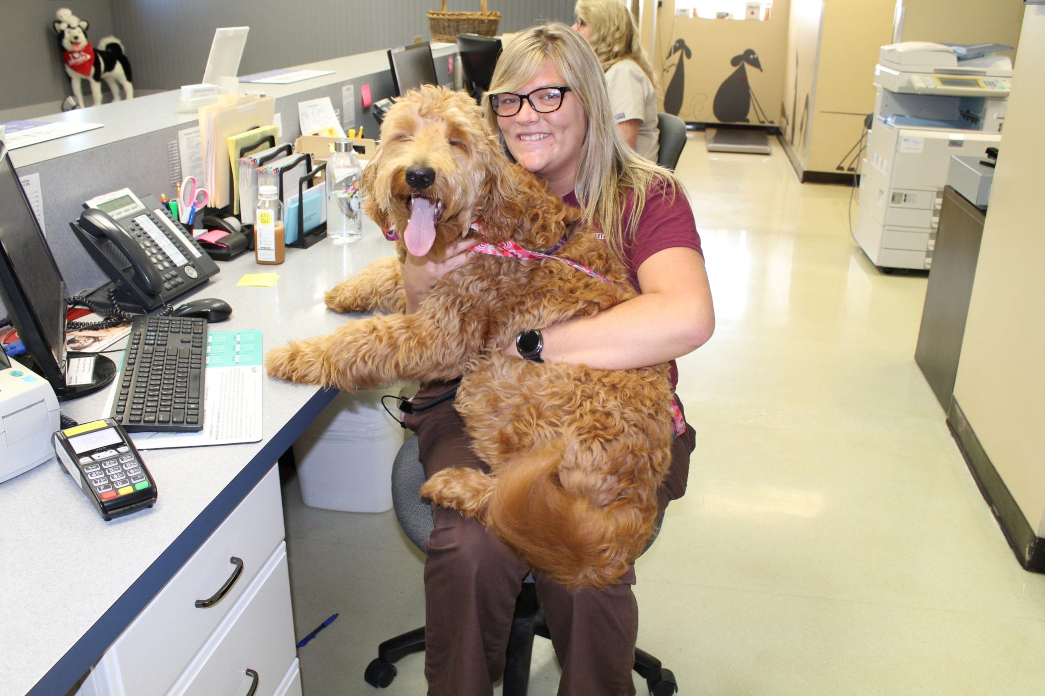 Our Photo Gallery in Temperance: Dog sitting in receptionist's lap