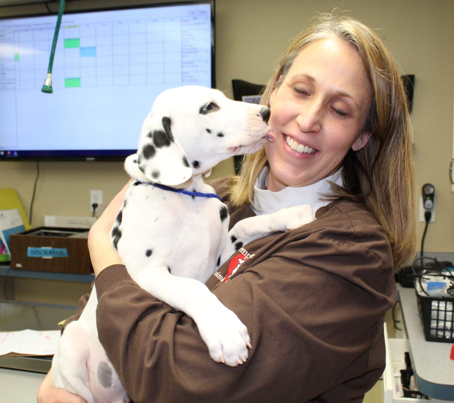 Puppy licking a vet's face: Our Photo Gallery in Temperance