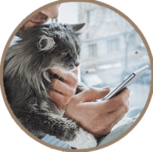 Man holding his cat and smartphone: Animal Hospital in Temperance