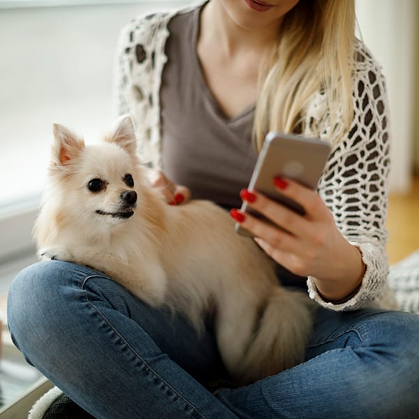 Woman using her smartphone with her dog in her lap: Animal Hospital in Temperance