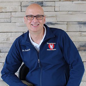 【裁断済み】VETERINARY ONCOLOGY No.43 44 46 47 裁断済み】VETERINARY ONCOLOGY No.43 44 46 47 裁断済み】VETERINARY