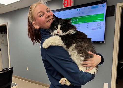 female staff member smiling while holding large fluffy black and white cat